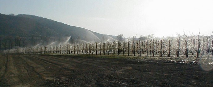 Gartenbau, Bewässerung, Wasserversorgung, Dresden, Pirna, Freital, Meißen